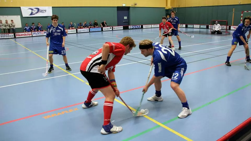 Unihokejowe eliminacje do Mistrzostw Świata Juniorów